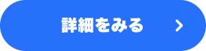 詳細をみる