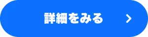 詳細をみる